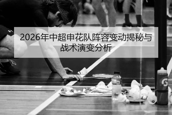 nian-zhong-chao-shen-hua-dui-zhen-rong-bian-dong-jie-mi-yu-zhan-shu-yan-bian-fen-xi-2-374.jpg